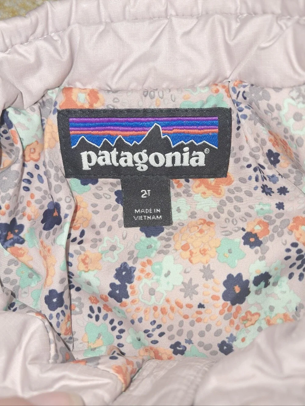 Patagonia brand Little girls size 2t down jacket